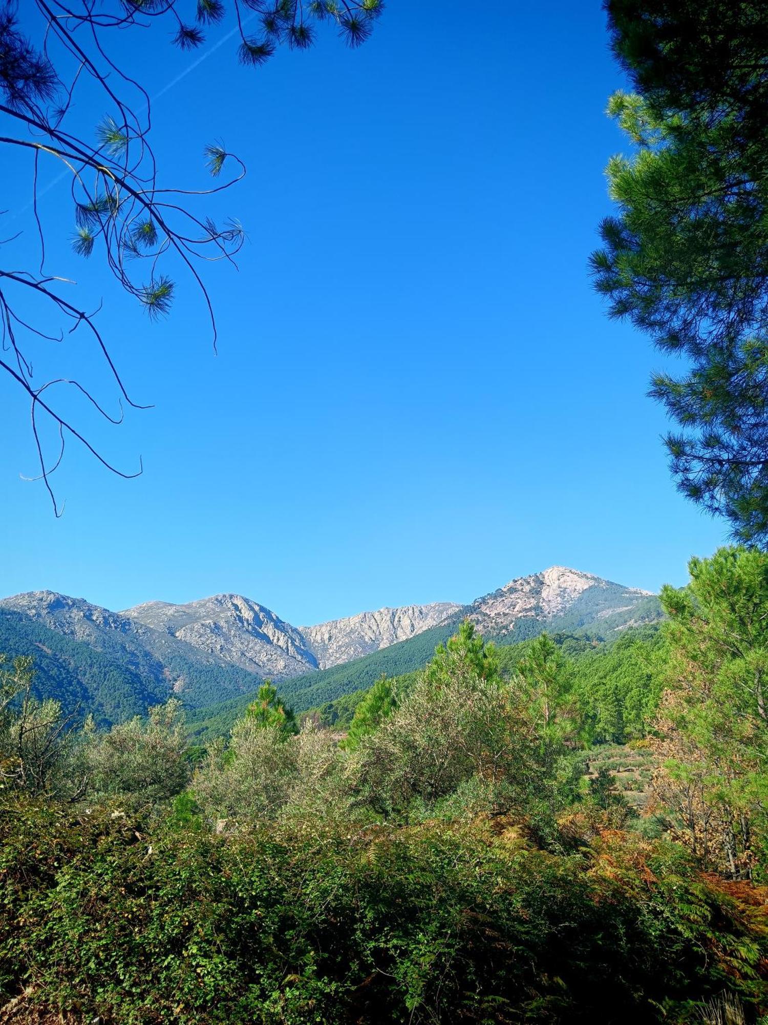 Estrellas De Gredos آريناس دي سان بيدرو المظهر الخارجي الصورة